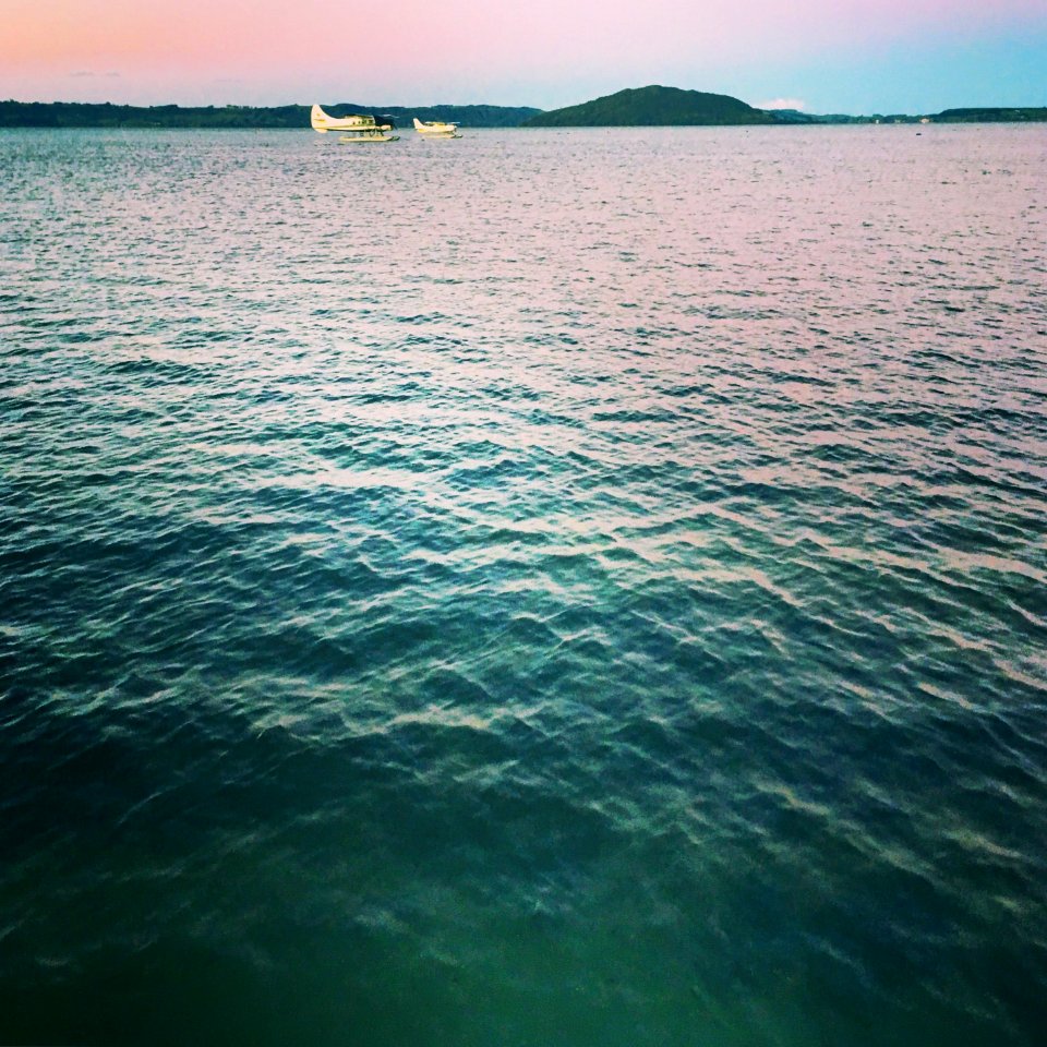 Lake rotorua, New zeal, Reflection