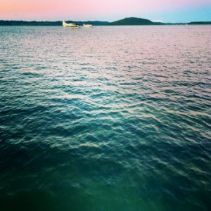 Lake rotorua, New zeal, Reflection