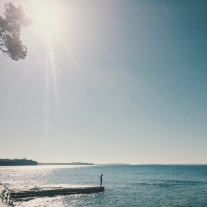 Auckl, New zeal, Mairangi bay photo