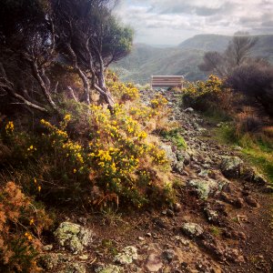Piha, New zeal, West