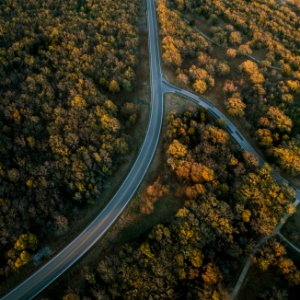 aerial photography of road and trees photo