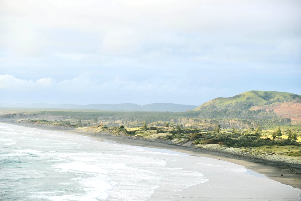 Muriwai, Muriwai beach, New zeal