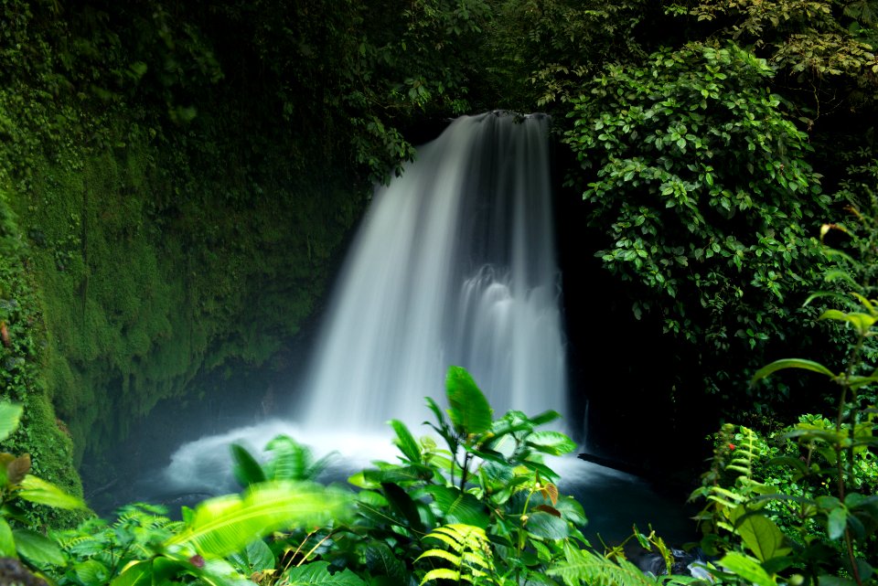 Costa rica, Arenal volcano national park, Conservation