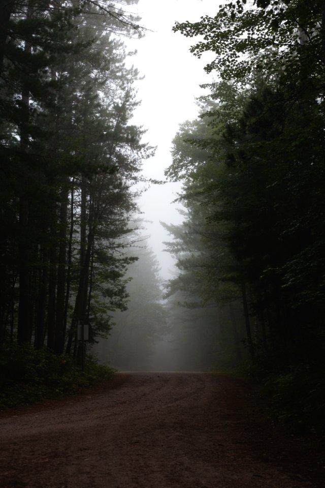 Samuel de champlain provincial park, Mattawa, Canada