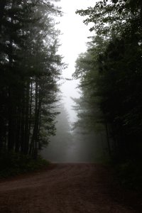 Samuel de champlain provincial park, Mattawa, Canada