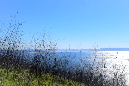 Hillside, Scape, Ocean