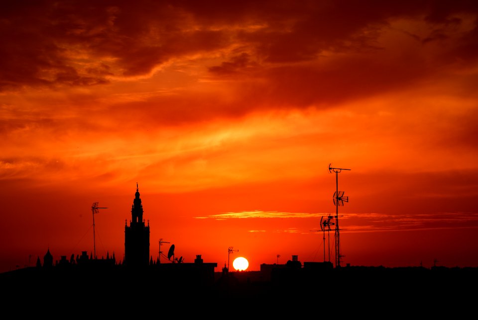 Spain, Seville, Rooftops