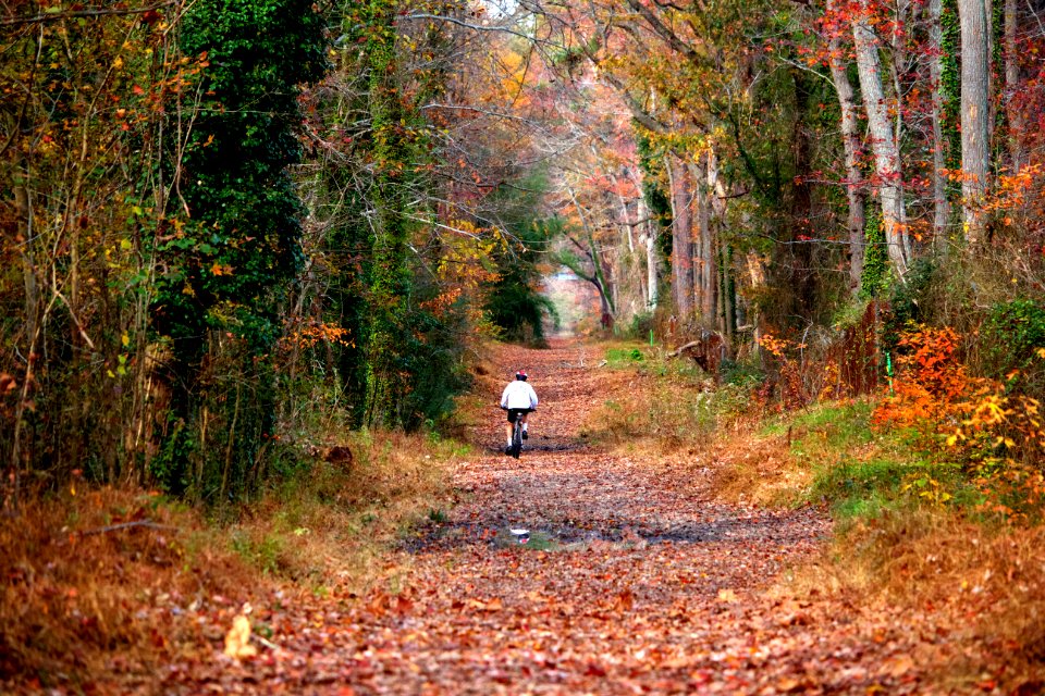 Newport news, United states, Bike rider