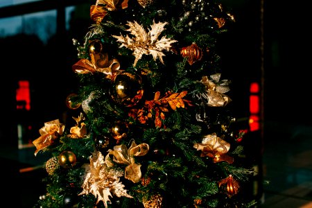 Christmas tree with decors photo