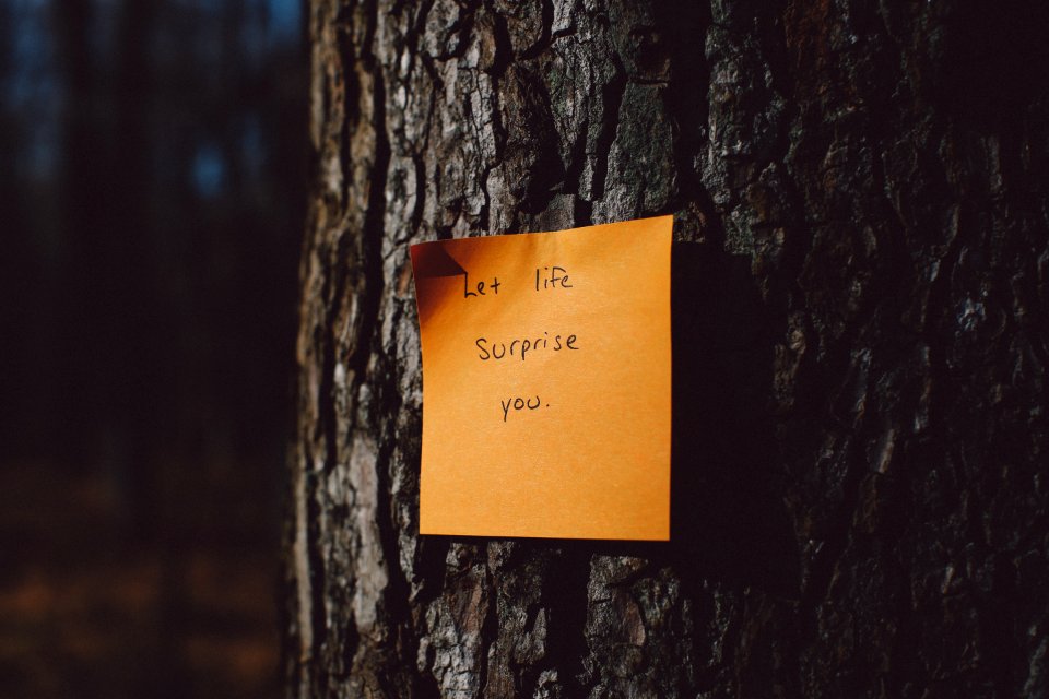 Amazed, Surprise, Poetry