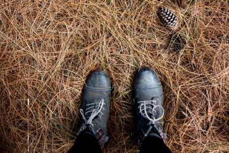 person wearing pair of black work boots in nature photo
