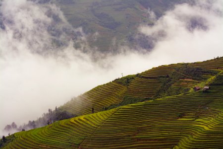 landscape of photography rice field photo
