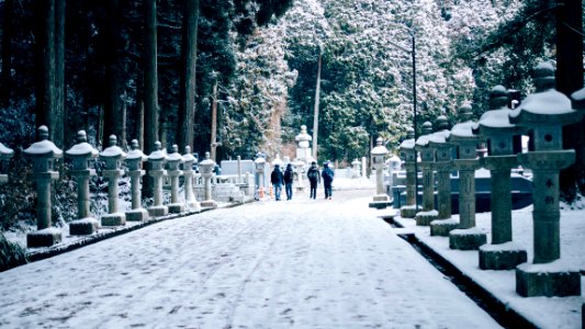 Koyasan, Japan, Koya