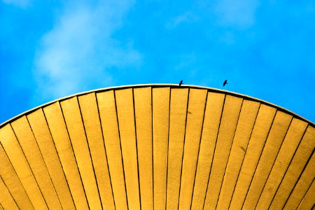 yellow oil umbrella under blue sky