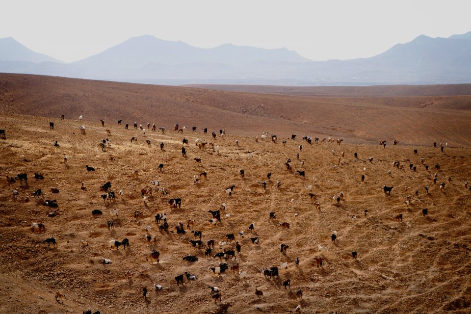 Fuerteventura, Spain, Islas canarias