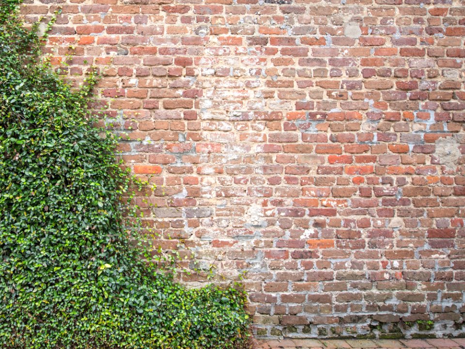 Texture, Wall, Brick
