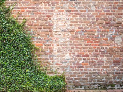 Texture, Wall, Brick photo