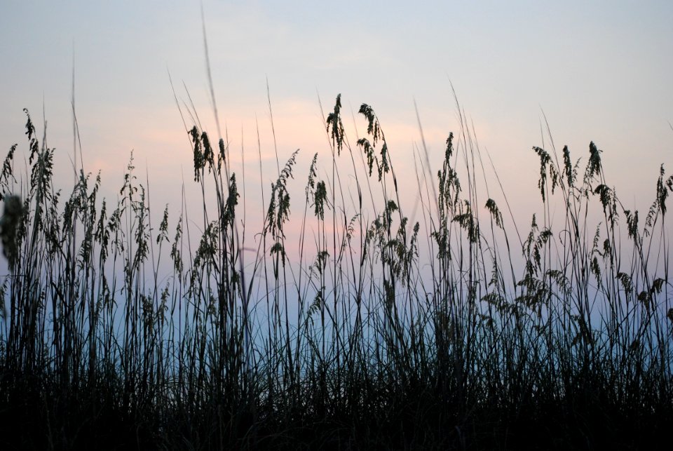 Tybee isl, United states, Sunrise