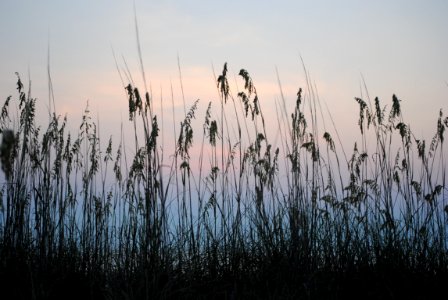 Tybee isl, United states, Sunrise