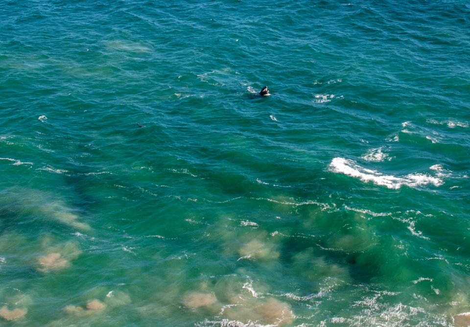 Point dume, Malibu, United states