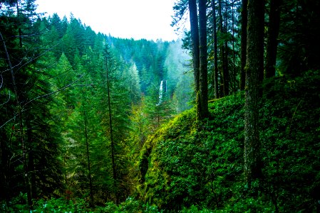 Silver falls state park, Sublimity, United states