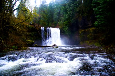 Nature, Silver falls state park, Sublimity