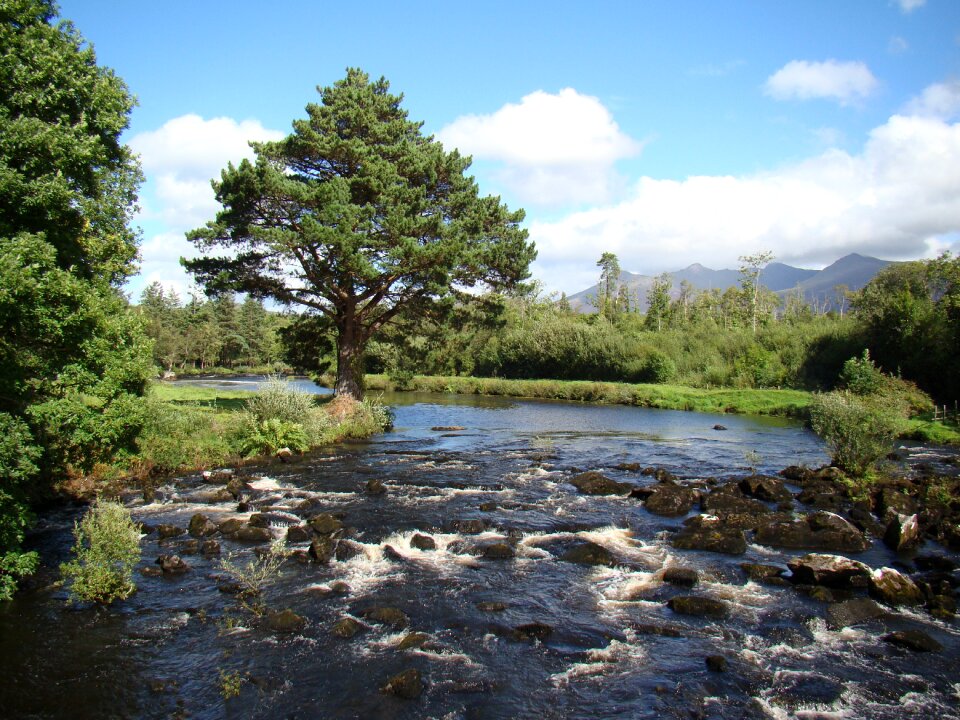 Fishing waters salmon oxygen-rich