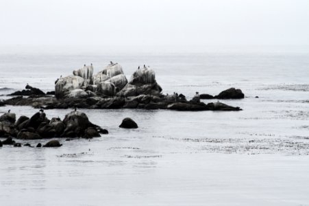 landscape photography of seashore rocks photo