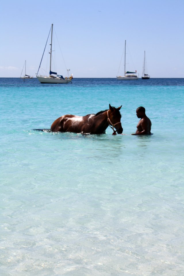 Saint thomas, Caribbean, Beach