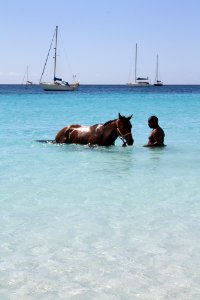 Saint thomas, Caribbean, Beach