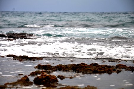 Ocean, Water, Ocean view