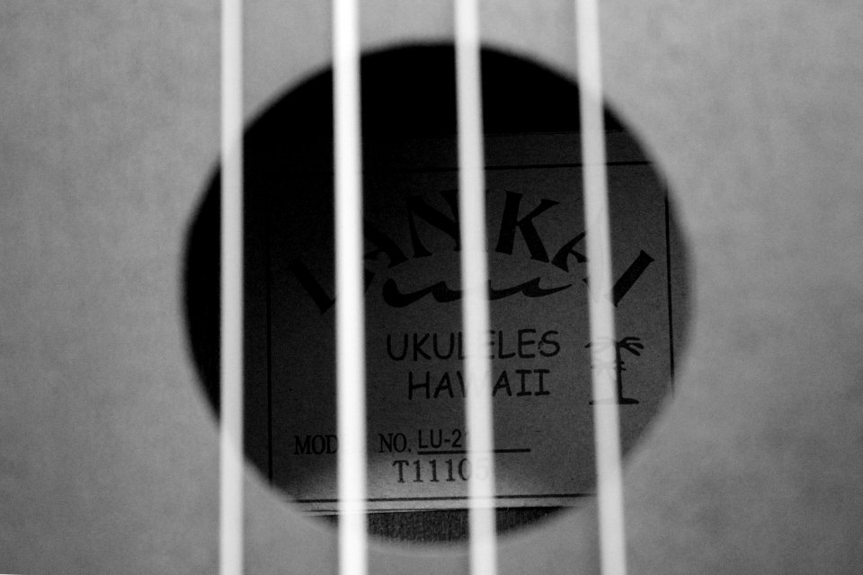 Kalani, Music, Ukulele