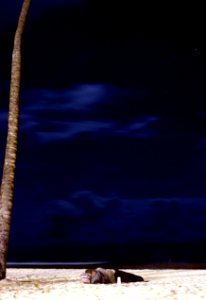 digital painting artwork of person lying on sand near palm tree