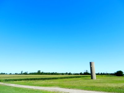 Missouri bootheel farm, Miner, United states