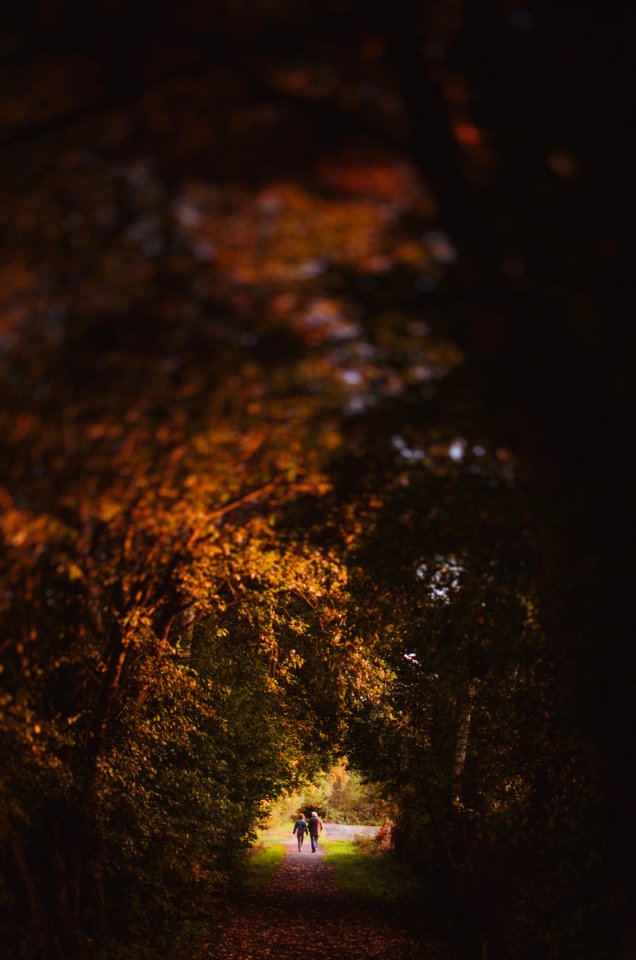 Hesse, Germany, September