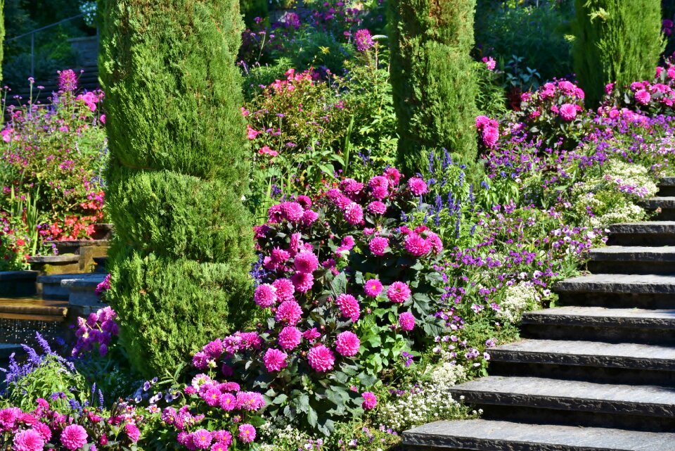 Lake stairs view photo