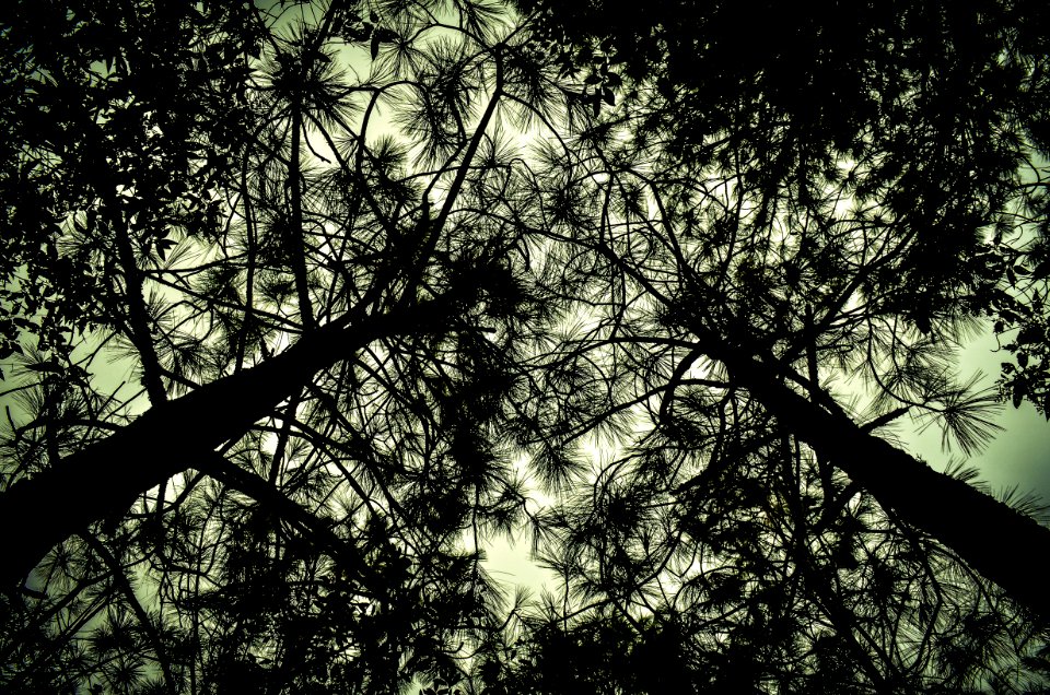 Mexico, Malinche la, Contrast