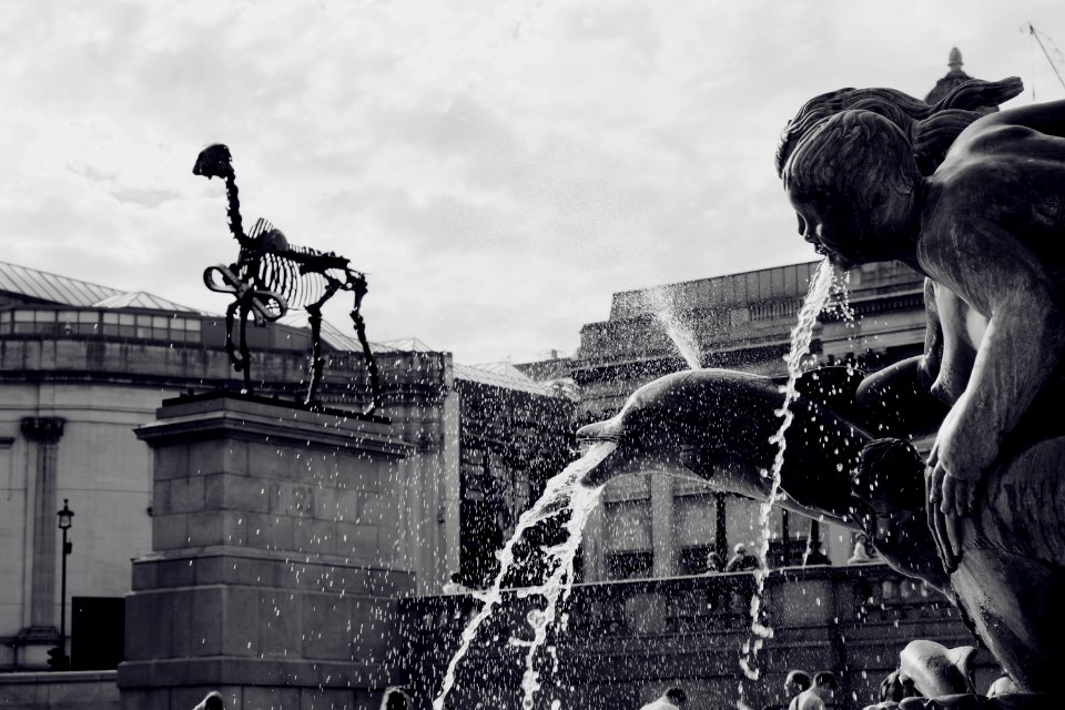 London, Trafalgar square, United kingdom
