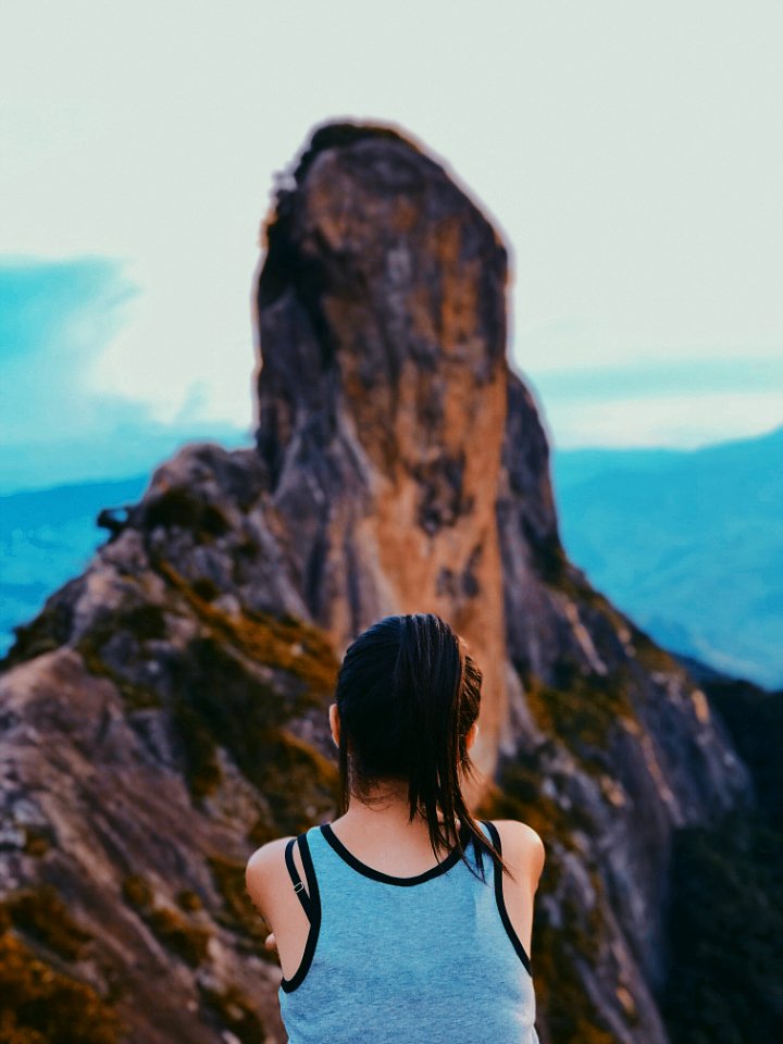 woman looking at brown mountain photo