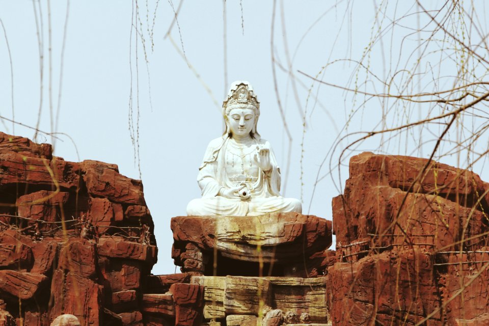 Goodness, Park, Buddha