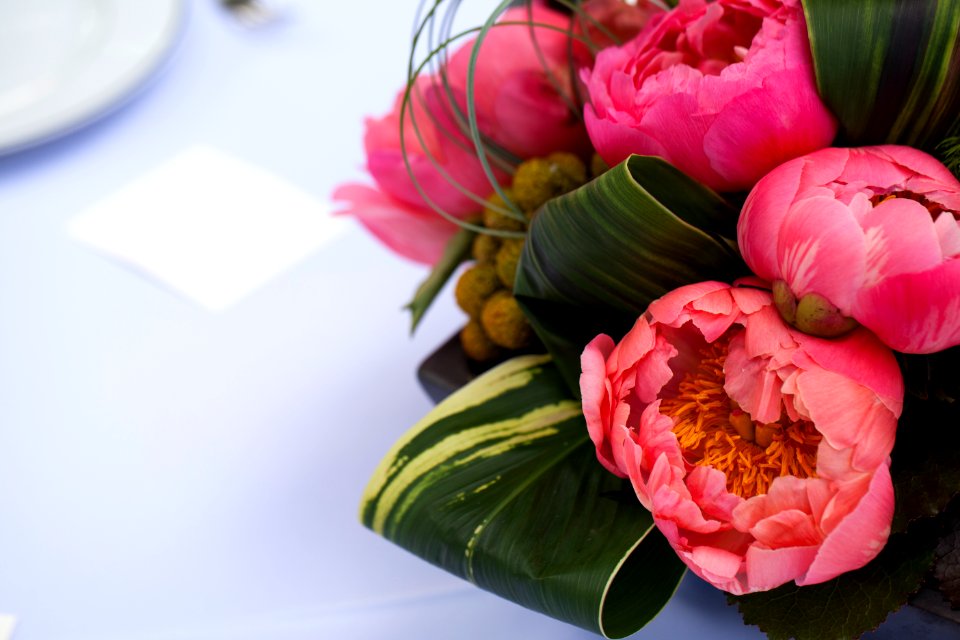 New york, United states, Flower
