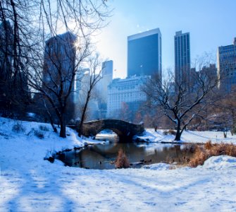 New york, Gapstow bridge, United states