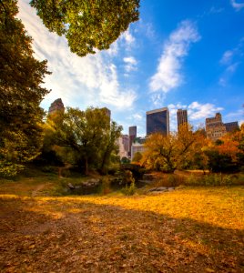 bridge along trees and city buildings photo