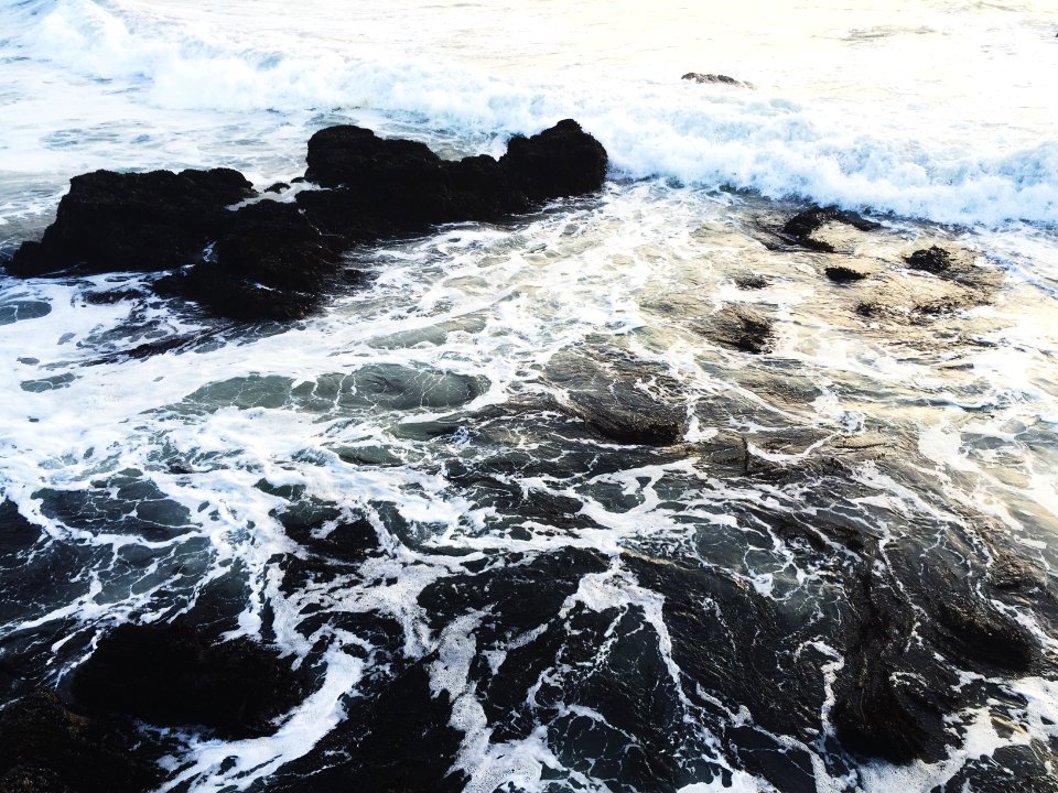 1958 pescadero creek rd, Pescadero, Ca 94060