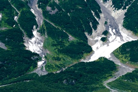 aerial view of forest and mountains photo