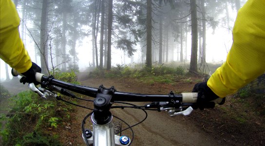 person riding on mountain bike in forest during foggy day photo