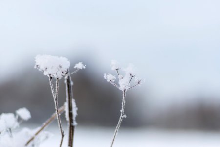 Dolgoprudny, Russia, Day