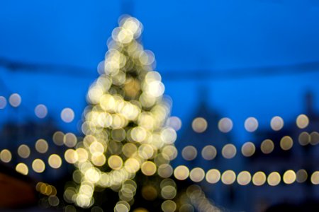 Tallinn, Christmas, Tree