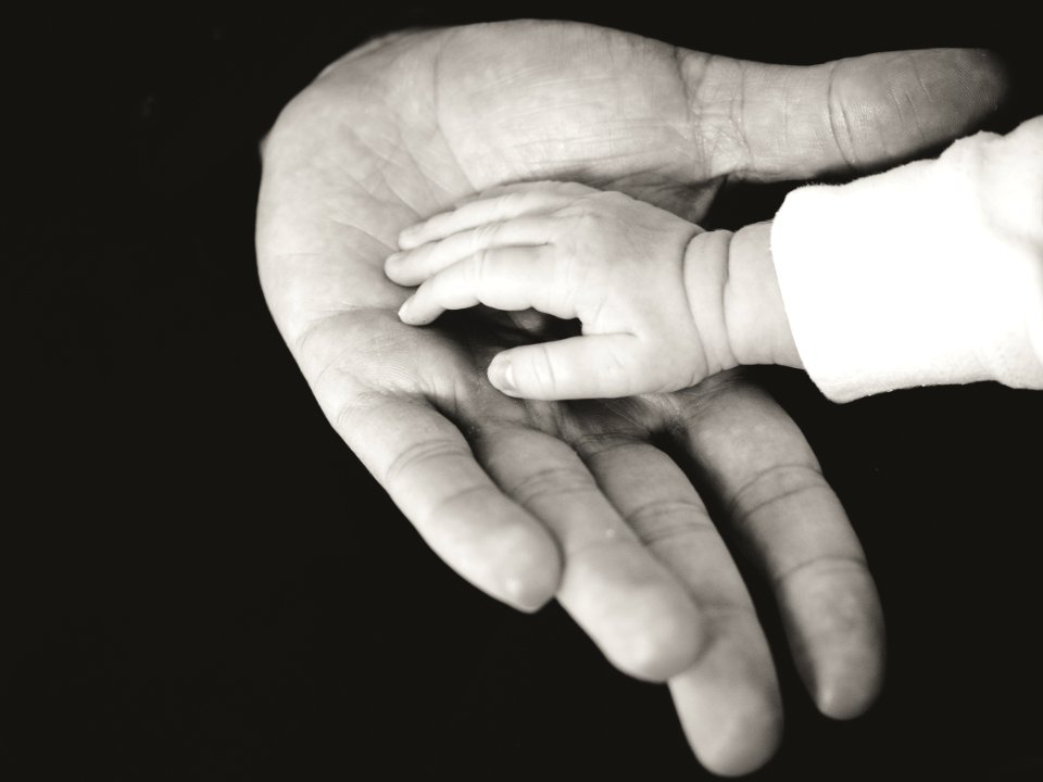 child and parent hands photography