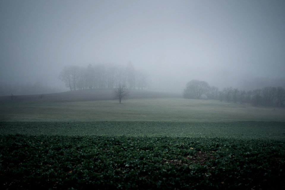Simmern, Deutschl, Scape